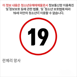 란제리 망사